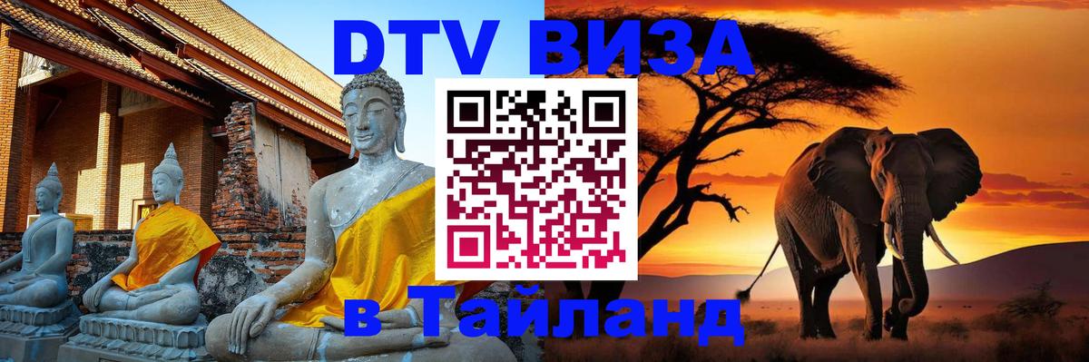 Сколько стоит DTV виза — актуальные цены, оформление даже без документов - Бишкек 